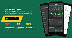 Exploring the Features and Benefits of the BetWinner Platform