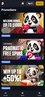 Exploring the Potential How Much Can You Win Insights into Gambling and Investments