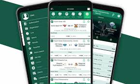 Comprehensive Guide to BetWinner Bonus Details -835251198 Comprehensive Guide to BetWinner Bonus Details -835251198